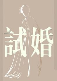 试婚丫鬟演员表