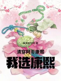 清穿阿哥