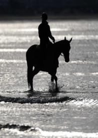 劫婚典礼免费播放