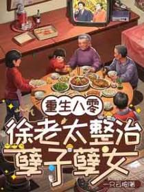 重生八零徐念