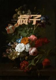 疯子的英文
