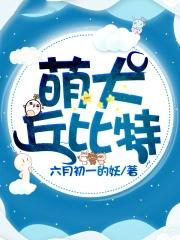 丘比特宠物