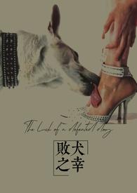 败犬文化