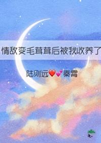 情敌变毛茸茸后被我收养了免费阅读