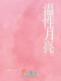温柔的月亮文案