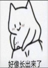 被玩弄怎么办