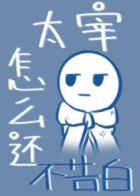 太宰了是什么意思