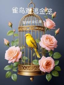 雀鸟与金笼扫文