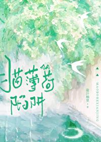 啥是猫薄荷