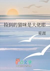 捡到猫是好还是坏