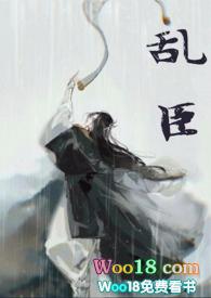 乱臣简介