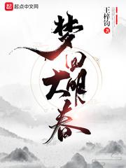 梦回大明春 txt