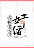 我的老公是奸佞男主是太监吗
