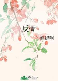 反骨讲的什么