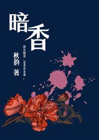 暗香(舅甥1v1h)笔趣阁