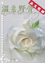 温柔野骨by金岫晋江