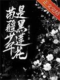 苗疆少年是黑莲花类似
