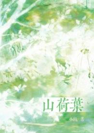 山荷叶好养吗