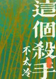 这个杀手不太冷 原著