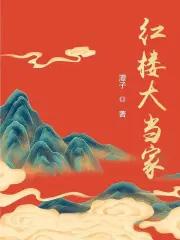 红楼大当家讲的是什么