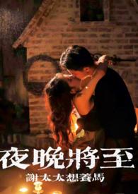 夜晚即将来临