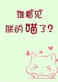 谁看见朕的喵了?全文免费阅读