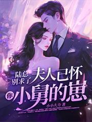 贺律师又沦陷了218章免费阅读