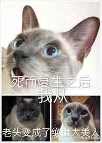 死而复生之后我从老头变成了绝世大美人主角攻是谁
