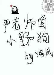 严老师记叙文阅读答案