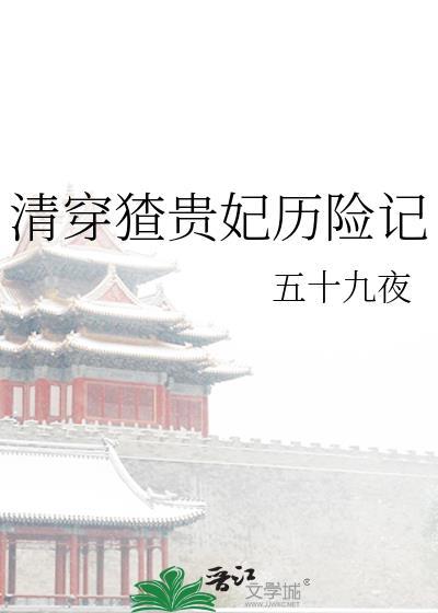 清穿贵妃传