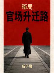 暗局 非常官途