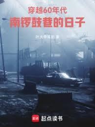 穿越60年代南锣鼓巷的日子笔趣阁