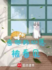 当你的心愿被看见txt