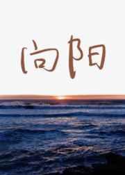向阳是什么意思