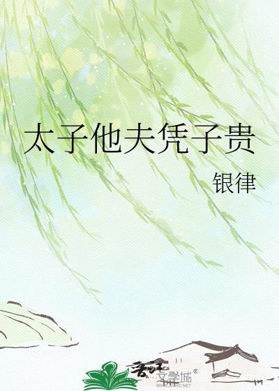 太子他夫凭子贵无删减