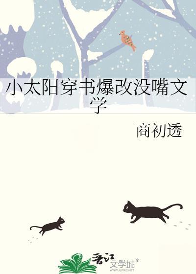 小太阳txt
