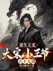 重生天龙之大宋小王爷天下无敌