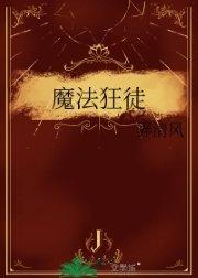 魔法狂徒晋江