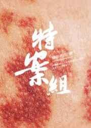 特殊案件调查组VI作者易容术九