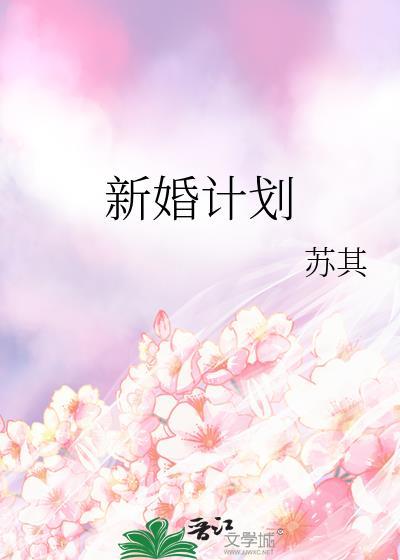新婚计划生育视频