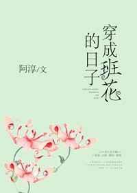 穿成班花的日子 阿淳