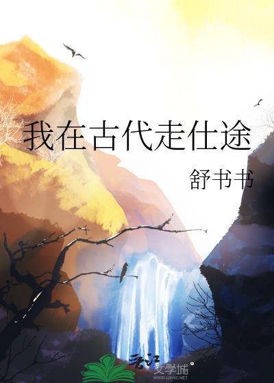 我在古代走仕途by舒书书