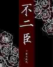 不二臣南北逐风