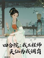 四合院之技术员