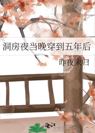 洞房夜穿越到五年后