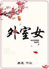 外室女讲的是什么