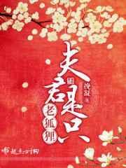 夫君是皇上