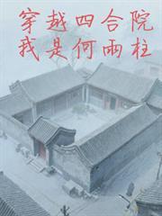 穿越四合院娶了何雨水