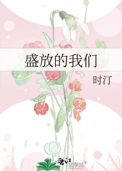 盛放mv