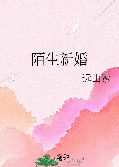 陌生结婚知乎